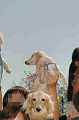 050918_sports_C-0925_thumb.png