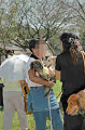 050918_sports_C-0931_thumb.png