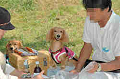 050918_sports_C-0932_thumb.png