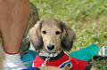 050918_sports_C-0937_thumb.png
