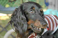 050918_sports_C-0940_thumb.png