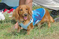 050918_sports_C-0942_thumb.png