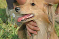 050918_sports_C-0959_thumb.png