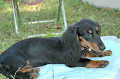 050918_sports_C-0976_thumb.png