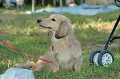 050918_sports_C-0983_thumb.png