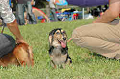050918_sports_C-0984_thumb.png