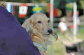 050918_sports_C-0986_thumb.png
