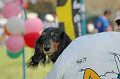 050918_sports_C-0987_thumb.png