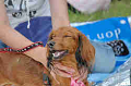 050918_sports_C-0990_thumb.png