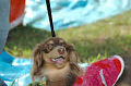050918_sports_C-0993_thumb.png