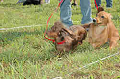 050918_sports_C-1024_thumb.png