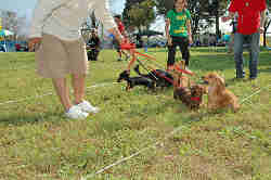 050918_sports_C-1029.jpg