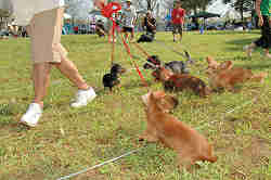 050918_sports_C-1030.jpg