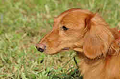 050918_sports_C-1038_thumb.png