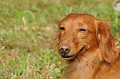 050918_sports_C-1039_thumb.png