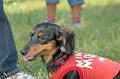 050918_sports_C-1040_thumb.png