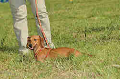 050918_sports_C-1043_thumb.png