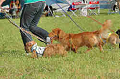 050918_sports_C-1053_thumb.png