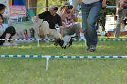 050918_sports_C-1055.jpg