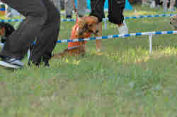 050918_sports_C-1056.jpg