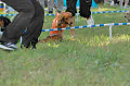050918_sports_C-1056_thumb.png