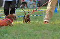 050918_sports_C-1057_thumb.png