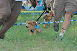 050918_sports_C-1061.jpg