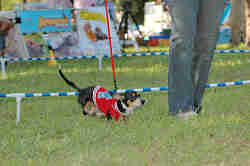 050918_sports_C-1063.jpg