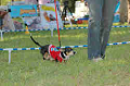 050918_sports_C-1063_thumb.png