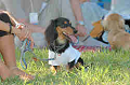 050918_sports_C-1066_thumb.png
