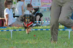 050918_sports_C-1067.jpg