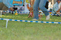 050918_sports_C-1071_thumb.png