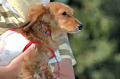 050918_sports_C-1075_thumb.png