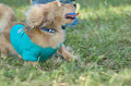 050918_sports_C-1079_thumb.png