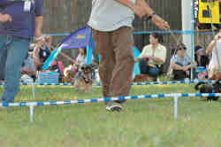 050918_sports_C-1080.jpg