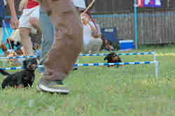 050918_sports_C-1082.jpg