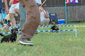 050918_sports_C-1082_thumb.png