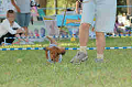 050918_sports_C-1083_thumb.png
