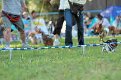 050918_sports_C-1086.jpg