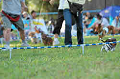 050918_sports_C-1086_thumb.png