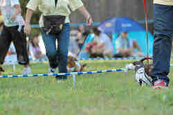 050918_sports_C-1087.jpg