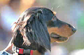 050918_sports_C-1091_thumb.png