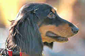 050918_sports_C-1092_thumb.png