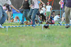 050918_sports_C-1094.jpg