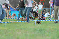 050918_sports_C-1094_thumb.png