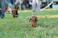 050918_sports_C-1096_thumb.png