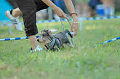050918_sports_C-1102_thumb.png