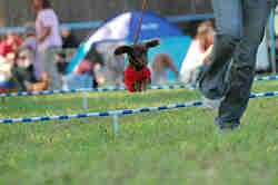 050918_sports_C-1110.jpg