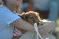 050918_sports_C-1114_thumb.png
