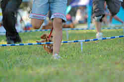 050918_sports_C-1120.jpg